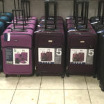 protocol garrison luggage