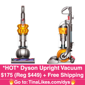 Dyson-IG