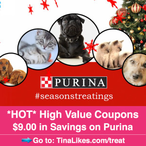 IG-purina