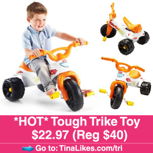 Tough-Trike-IG