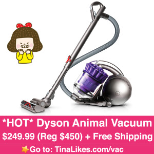 Dyson-Vac-IG