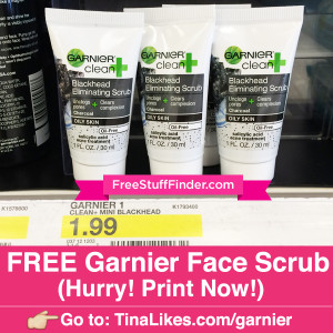 IG-Garnier-Scrub