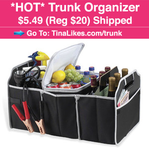 IG-Trunk-Organizer