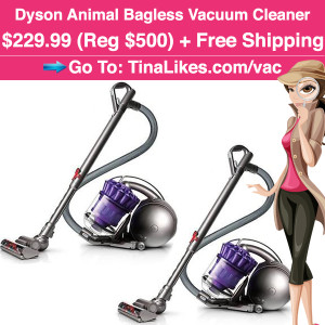 IG-dyson-vacuum