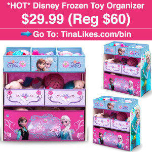 IG-frozen-toy-bin