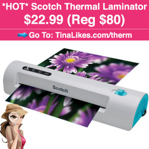 IG-laminator