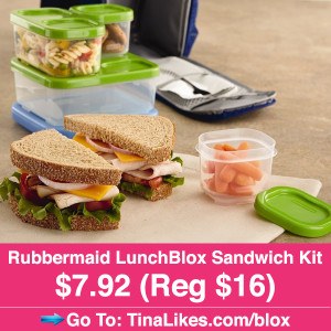 IG-rubbermaid-lunchblox