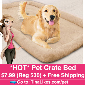 Pet-Bed-IG