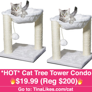 Cat-Tree-Condo-IG