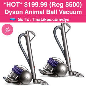 IG-Dyson