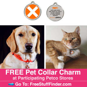 IG-PetCharm