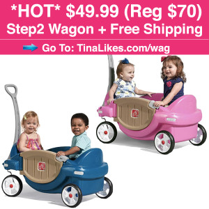 IG-Step2-Wagon