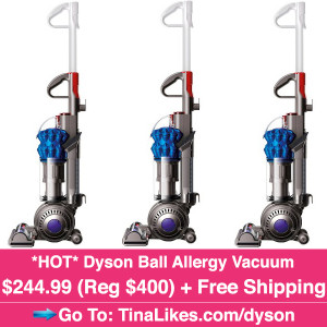 IG-dyson-vacuum