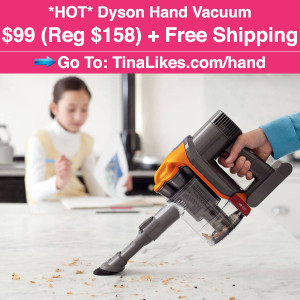 IG-dyson-vacuum