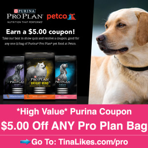 IG-purina-alt-image-38