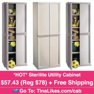 IG-sterlite-cabinet