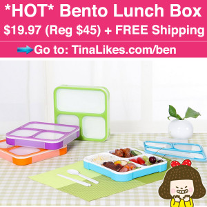 Bento-Lunch-Box