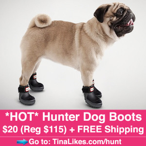 Hunter-Dog-Boots-IG