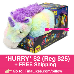 IG-Hollar-PillowPet-1