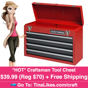 IG-craftsman-tool