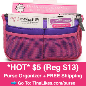 IG-hollar-purse-organizer