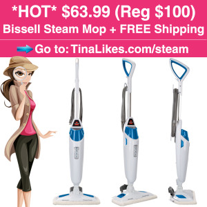 Ig-Bissell-Steam-Mop