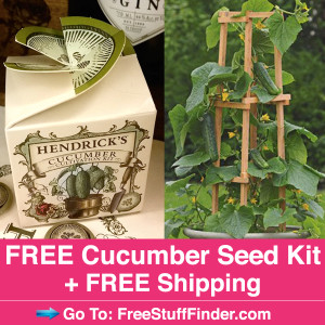 IG-Cucumber-Kit