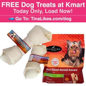 IG-DogTreats