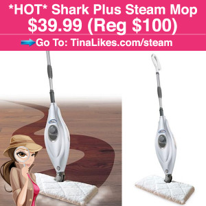 IG-SteamMop