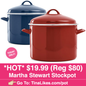 IG-Stockpot