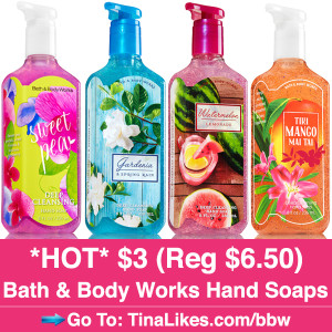 IG-bbw-hand-soap-510