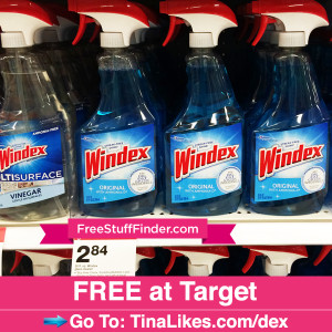 IG-free-windex