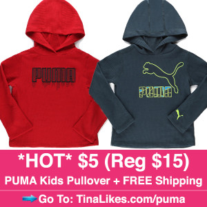 IG-hollar-puma