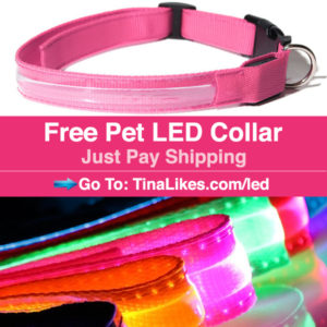 IG-led-collar