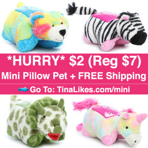 IG-mini-pillow-pet