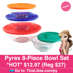 Pyrex-IG