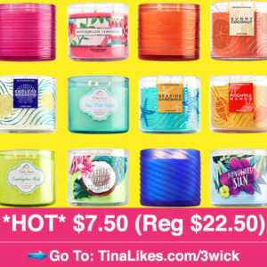 IG-bbw-free-3wick-610