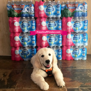 IG-nestle-water-image11