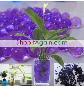 FREE_Magical_Crystal_Soil_Water_Beads_Flower_Plant_Purple_Color