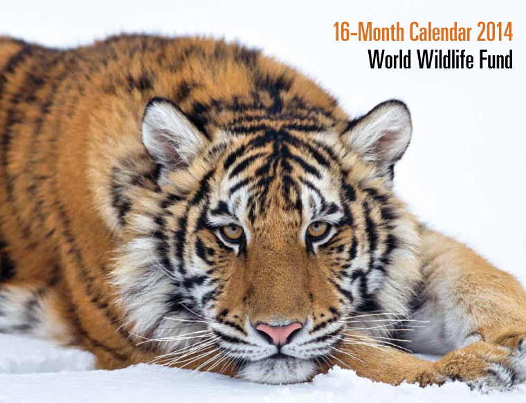 Free Wildlife Calendar Free Stuff Finder