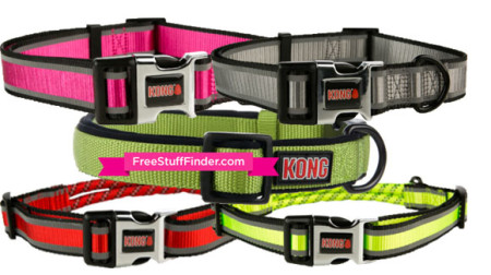 kong collar petsmart