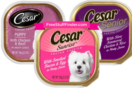 cesar dog food walgreens