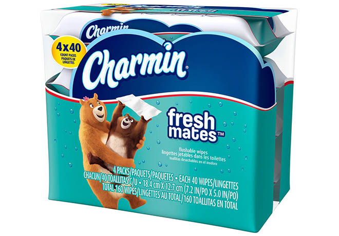 Sam's Club: Charmin Flushable Wet Wipes 40-Count Packs JUST $1 per Pack |  Free Stuff Finder