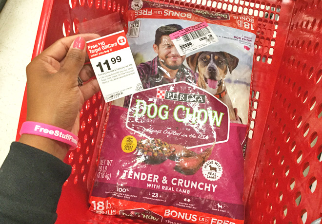 target purina dog food