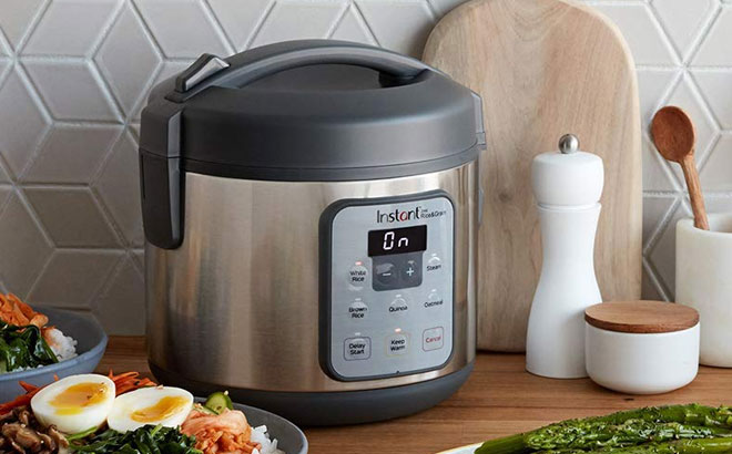 instant zest rice cooker