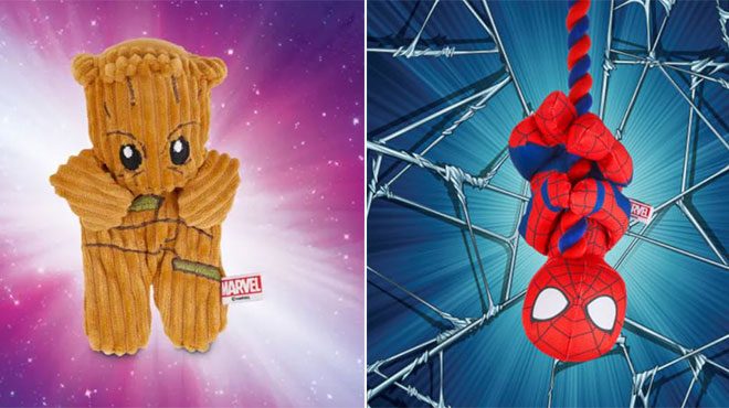 groot dog toy petco