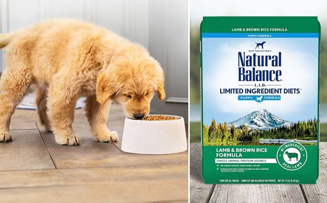 natural balance dog food printable coupons 2020