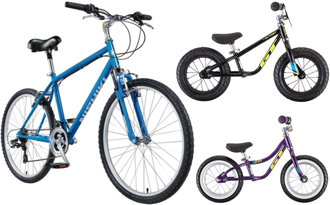 dick's sporting goods bicycles