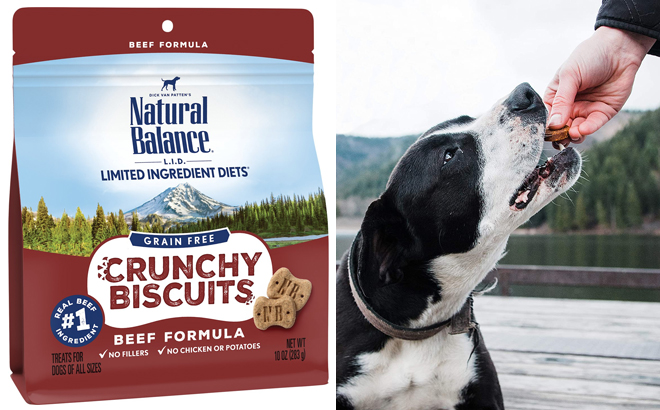 natural balance dog food coupons printable