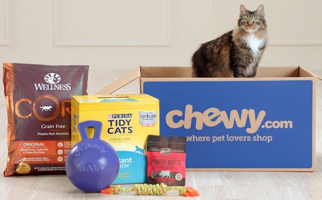 chewy cyber monday deal